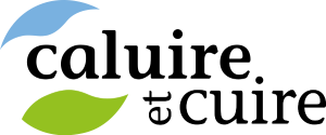 Logo Caluire 300