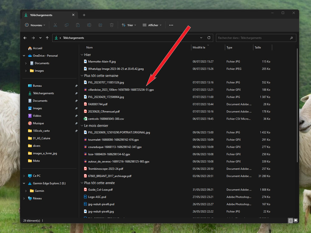 importer trace garmin 1
