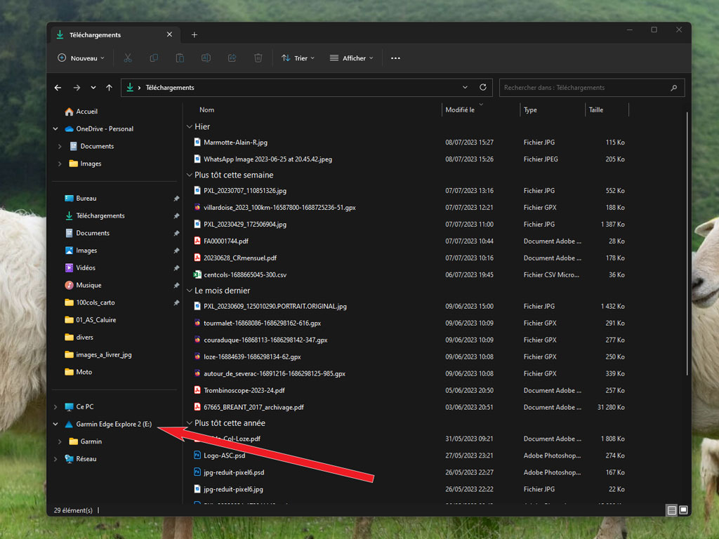importer trace garmin 2