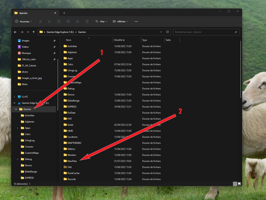 importer trace garmin 3
