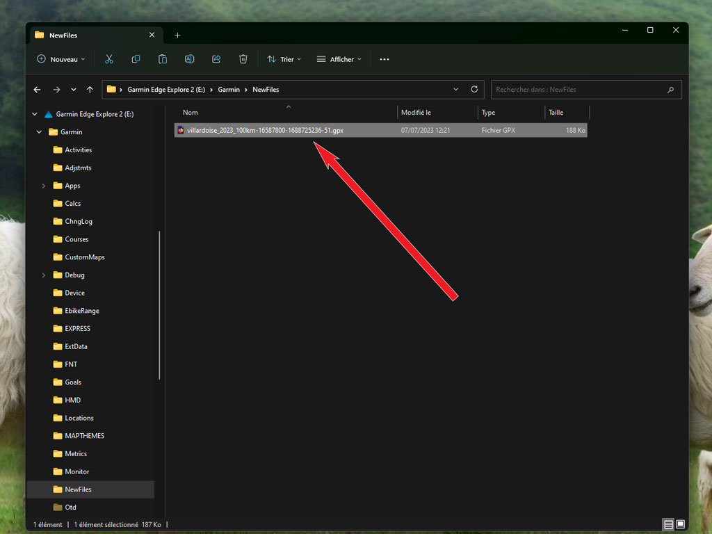 importer trace garmin 4